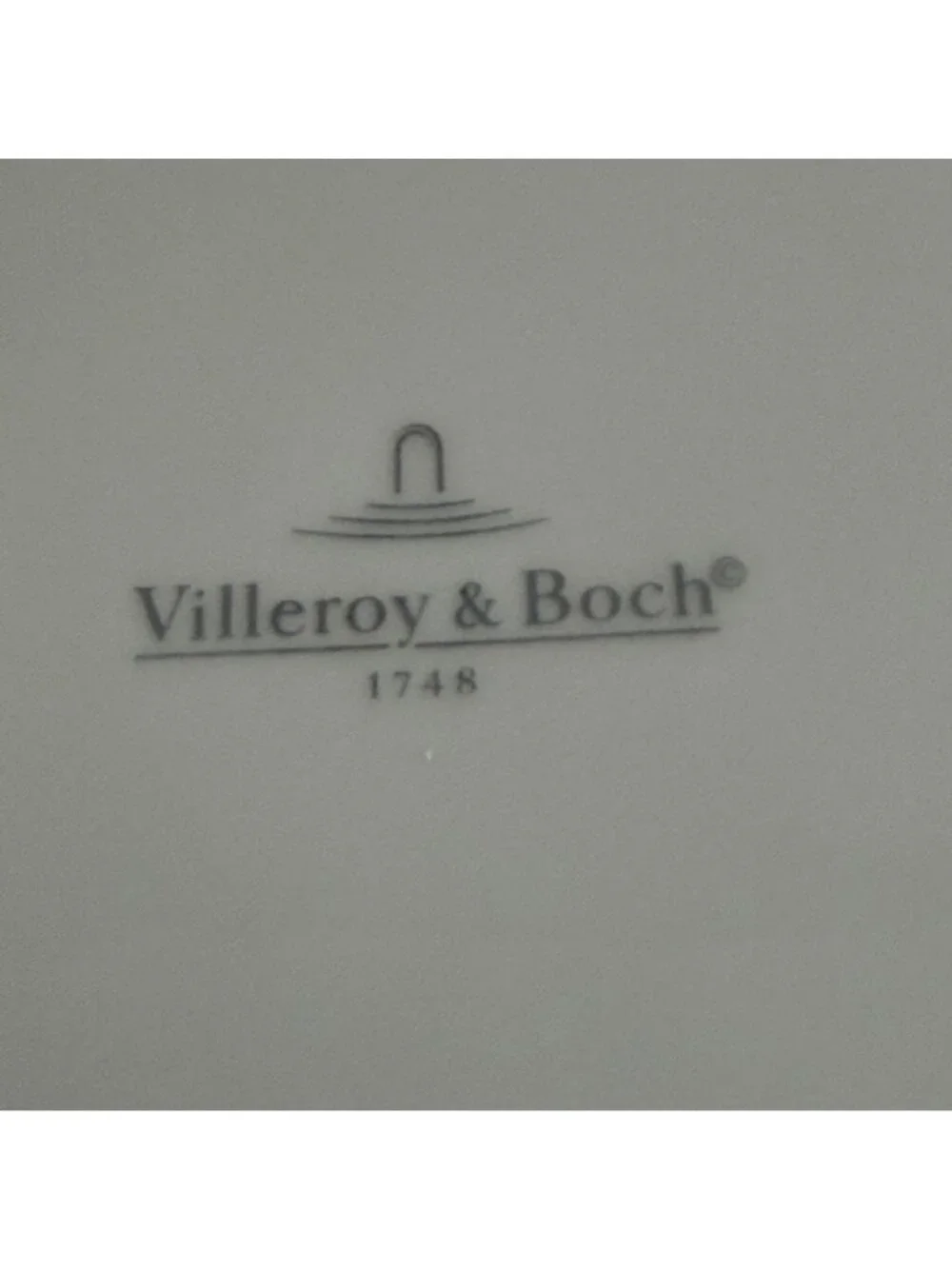 Villeroy & Boch Cordoba Switch 3 Collection Blue Bird 8.25